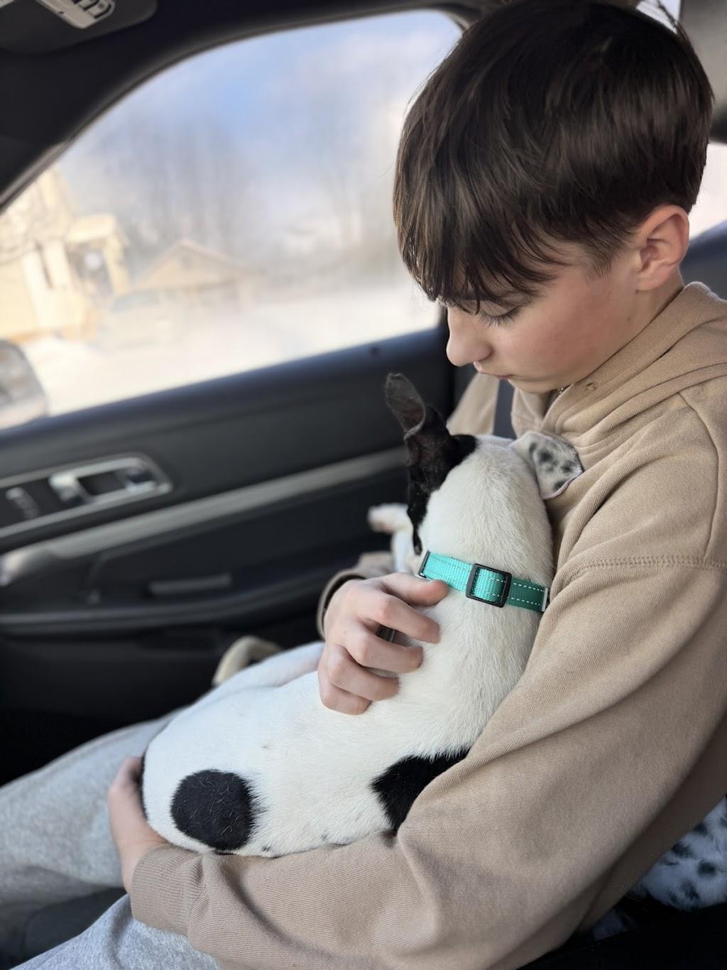 Enlarge Mr. Moo, a ADOPTABLE Mixed Breed in Medford, NJ image 4/5