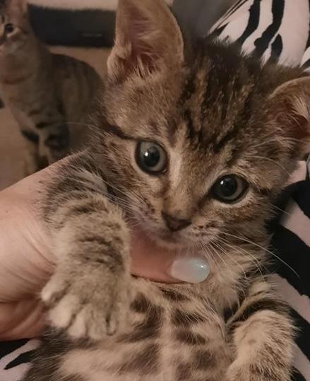 Peanut — thumbnail 2