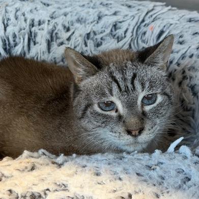 Doodles — thumbnail 3