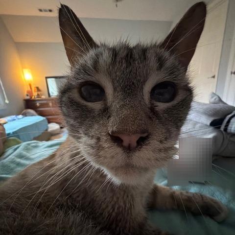 Doodles — thumbnail 4