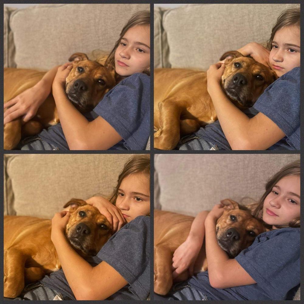 Enlarge Moochie, a Adoptable mixed breed in Milton, FL image 3/6