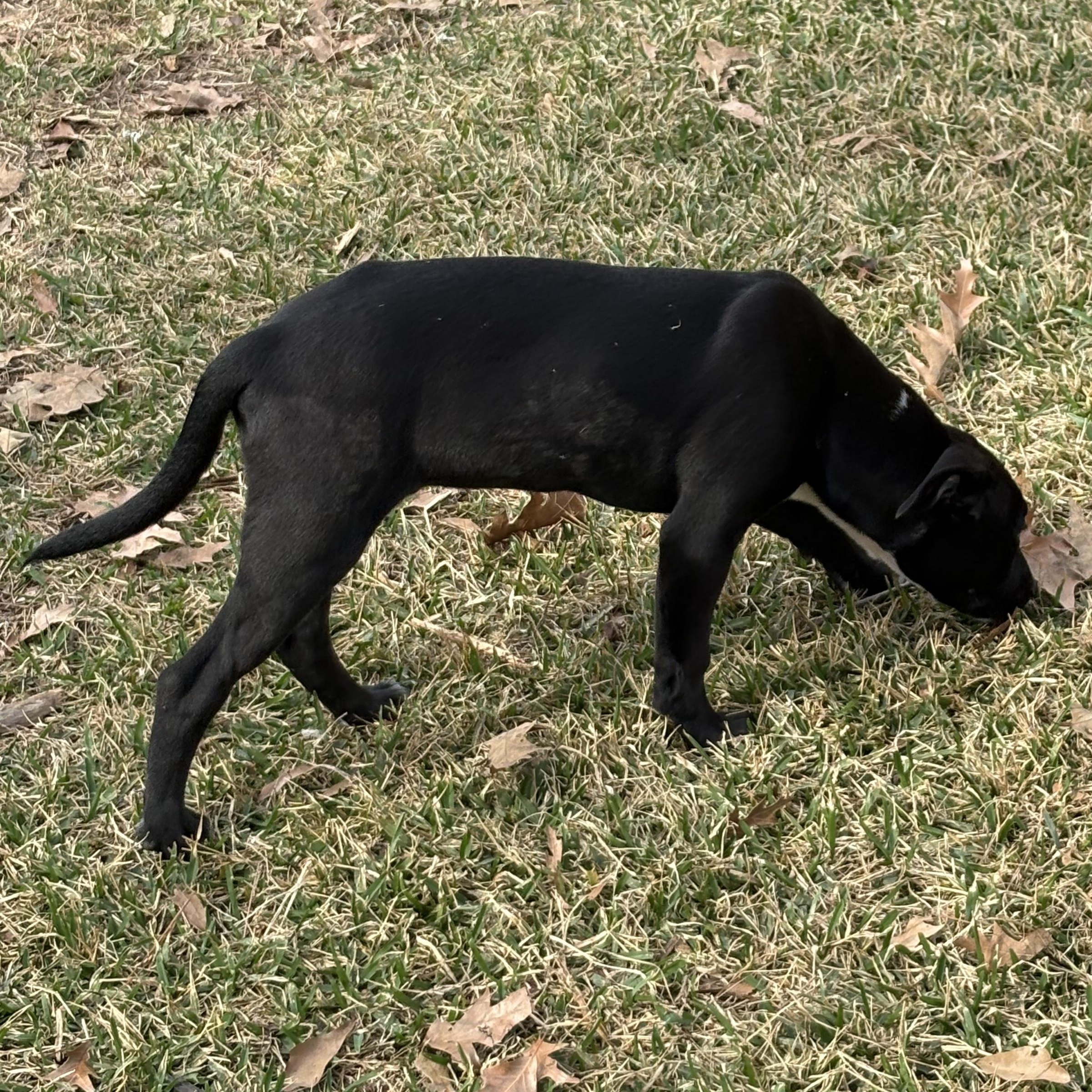 Galaxy — thumbnail 2