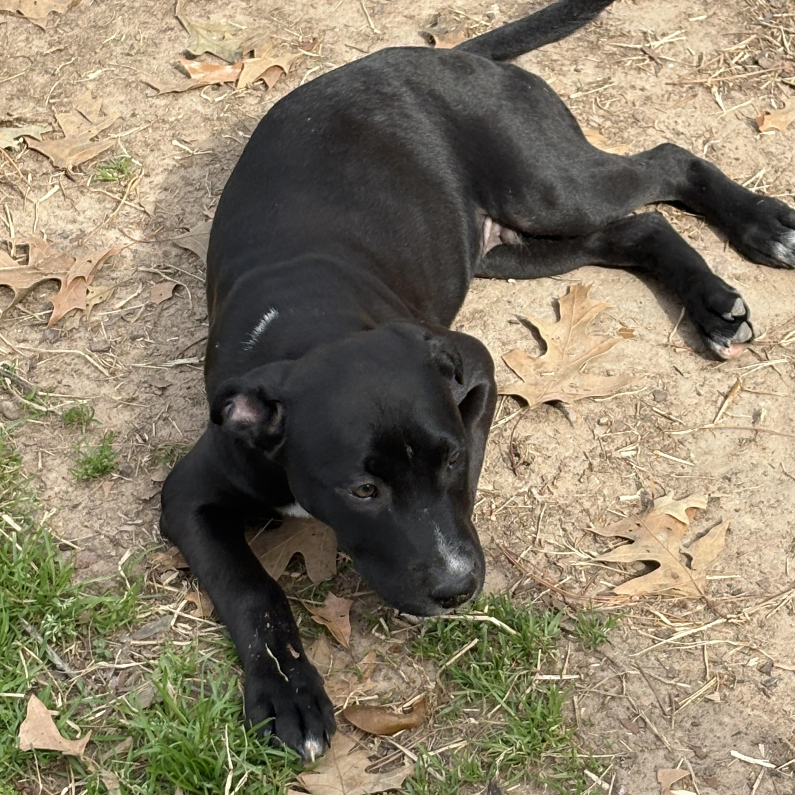 Galaxy — thumbnail 3