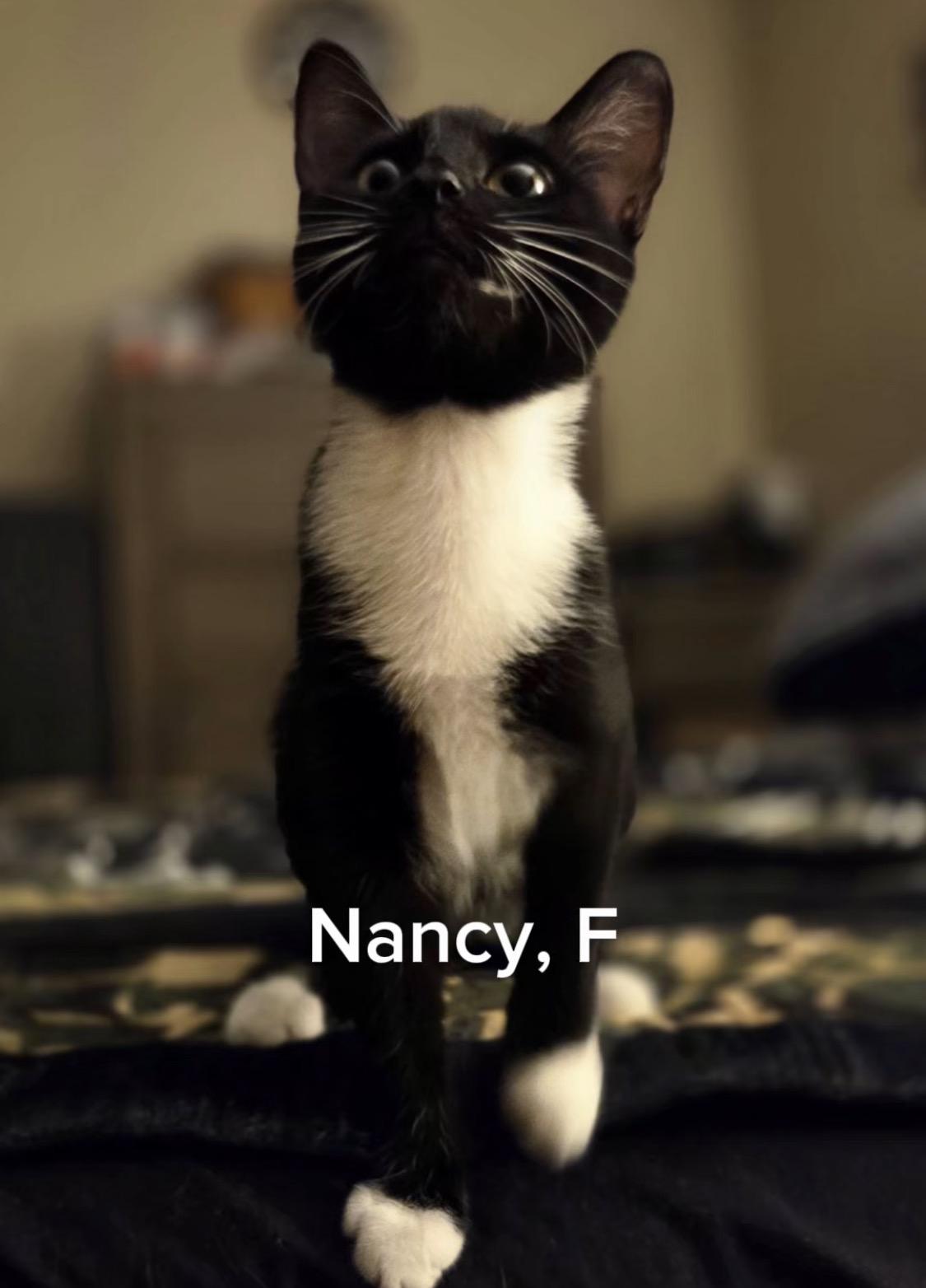 Nancy photo