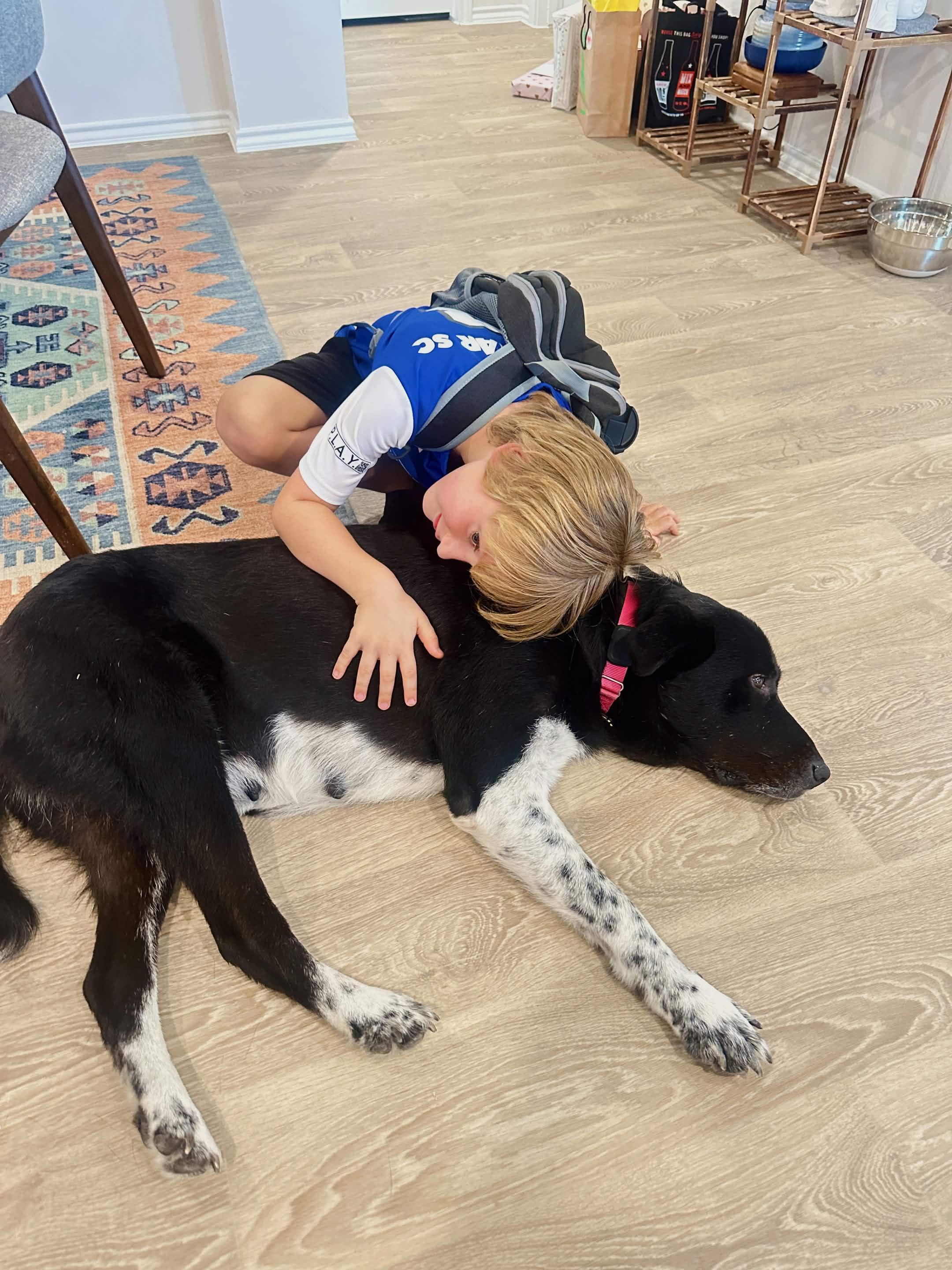 Enlarge Remington, a Adoptable mixed breed in Portland, OR image 2/6