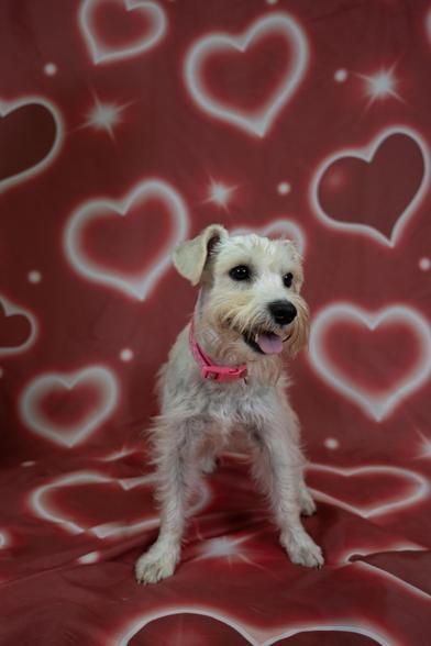 Penny — thumbnail 3