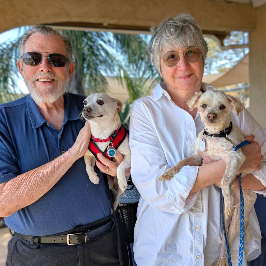 Chalupa, a Adoptable Maltese in Ramona, CA image 4/5