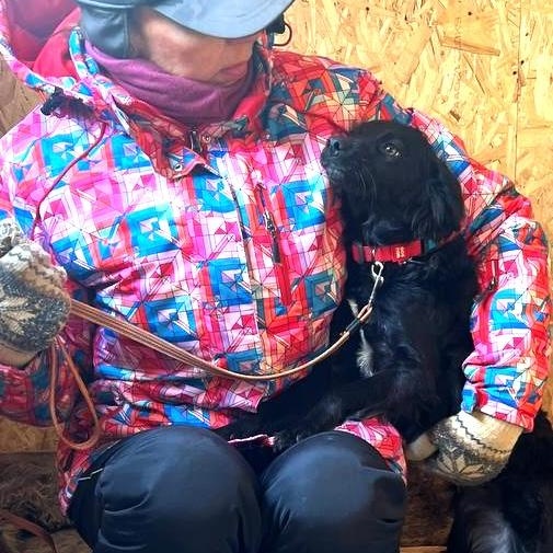 Enlarge Elara, an adopted mixed breed in Morristown, NJ image 6/6