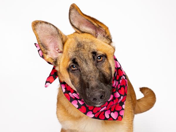 Freya — thumbnail 2