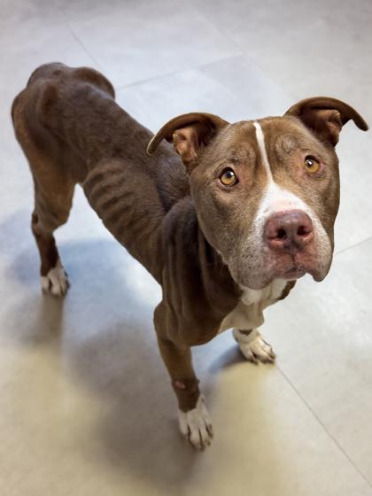 Elsa — thumbnail 2