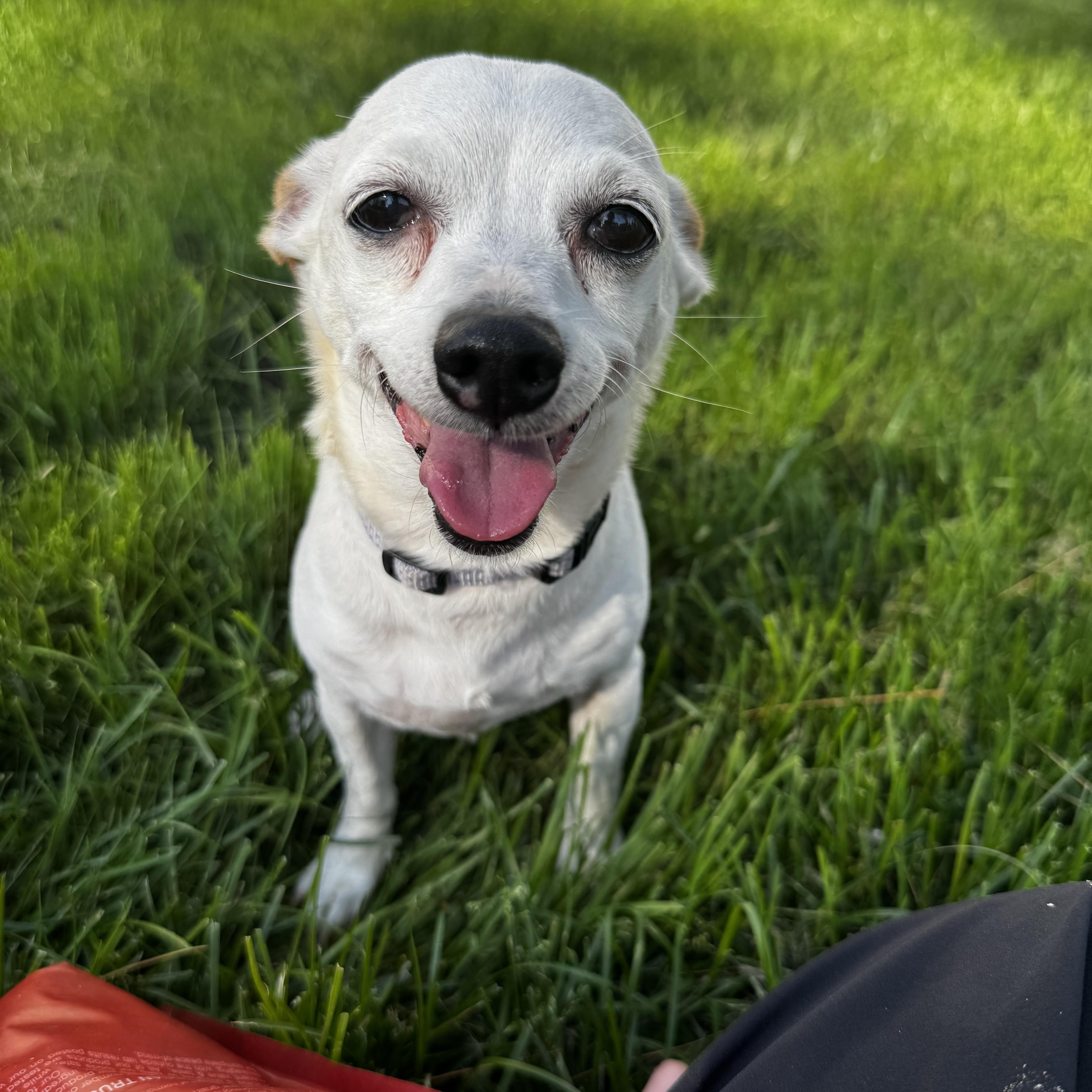 Tahitian Twilight thumbnail 3