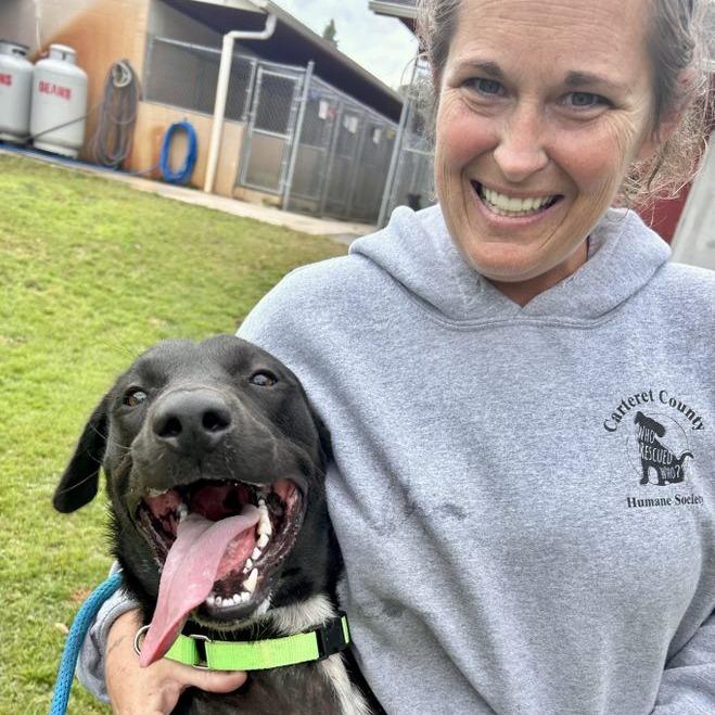 Bear, a Adoptable mixed breed in Newport, NC image 5/6