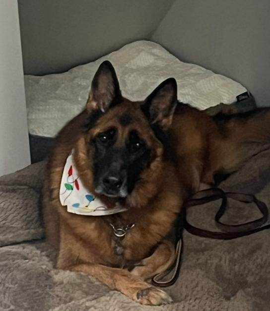 Coco Chanel thumbnail 2