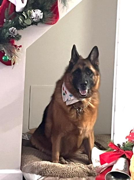 Coco Chanel thumbnail 3