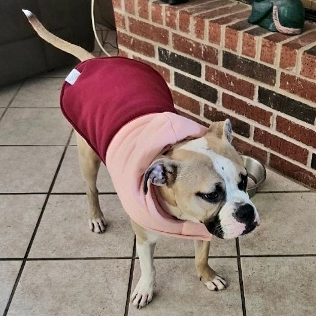 Rockee — thumbnail 2