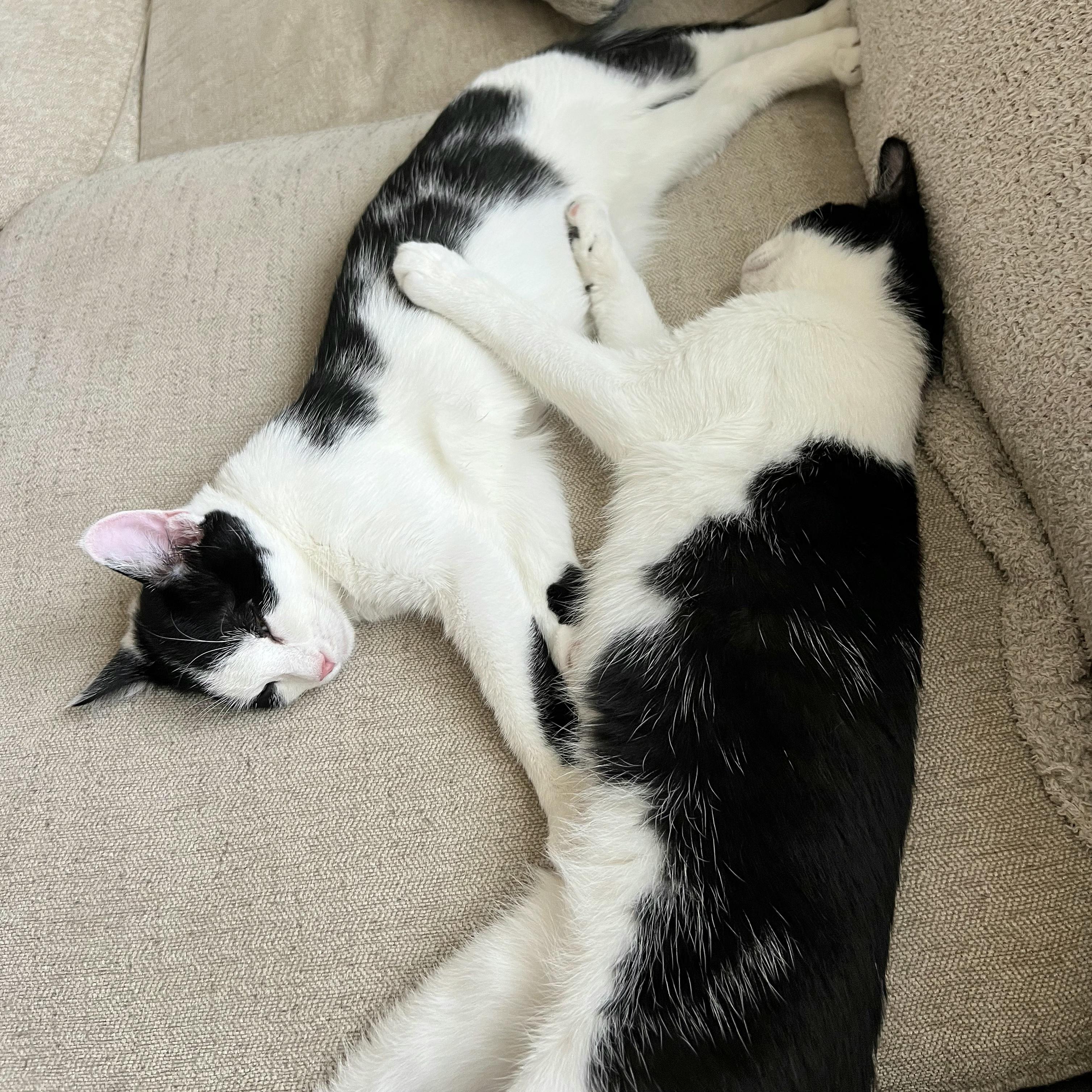 Maizie and Quinn
