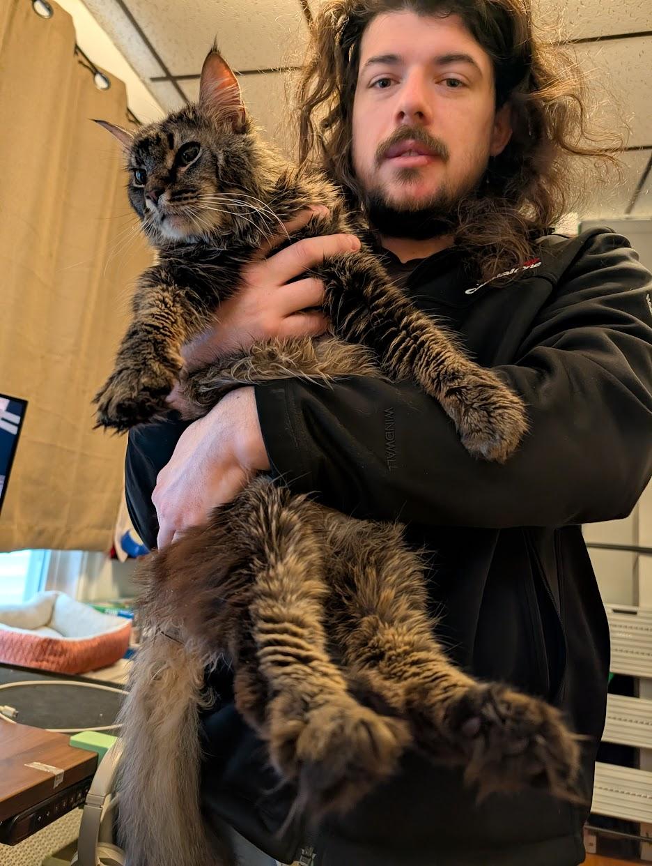 Buster, a ADOPTABLE mixed breed in Weehawken, NJ image 5/6