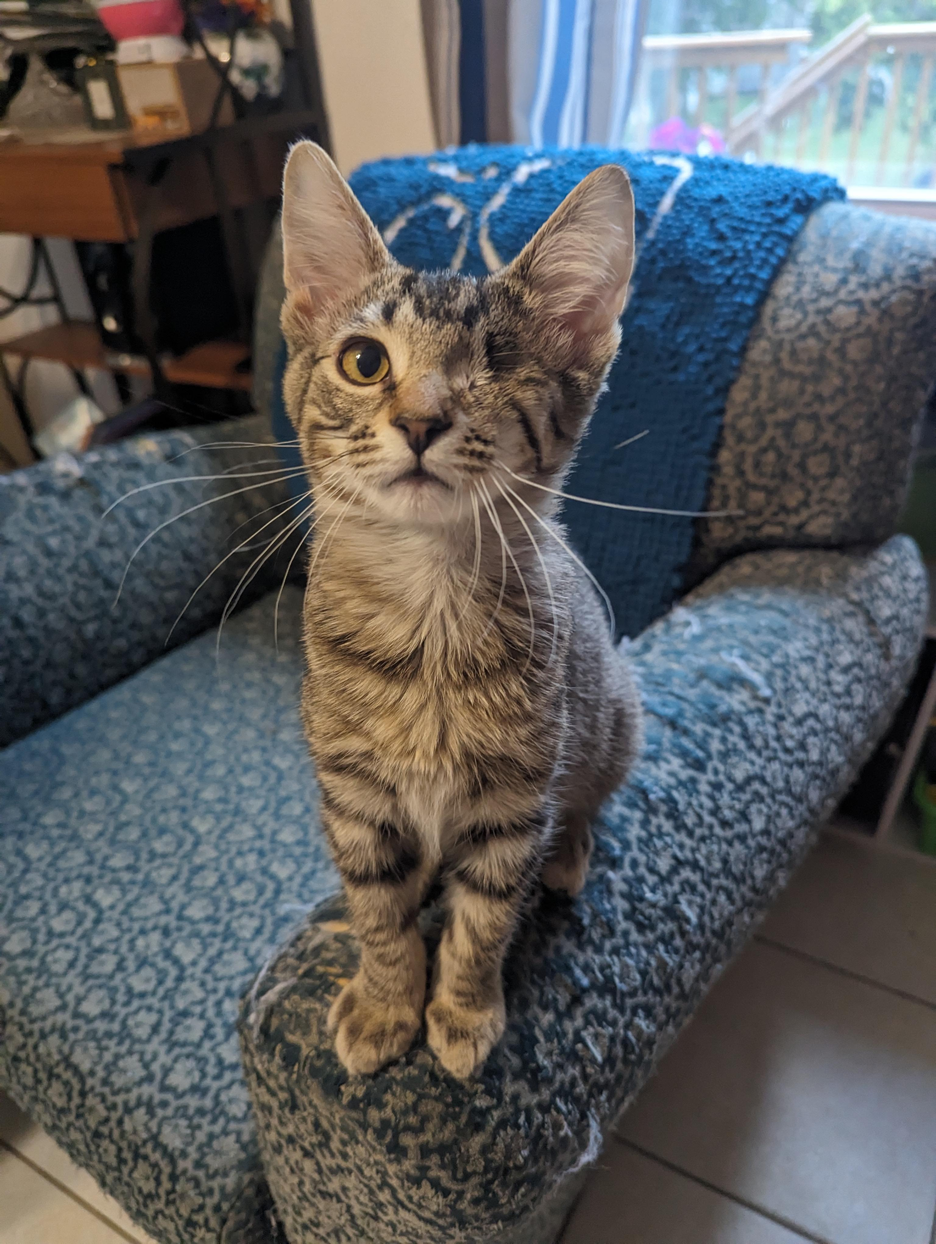 Cyrus