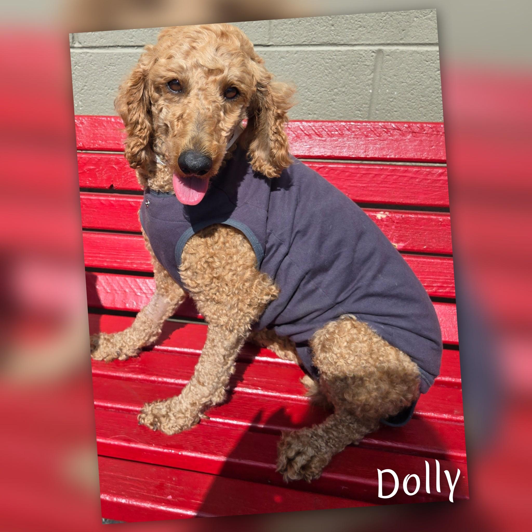 Dolly