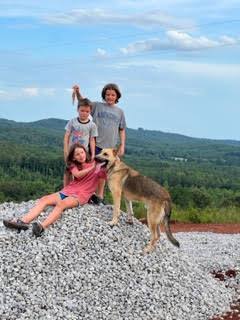 Enlarge Joshua, a Adoptable German Shepherd Dog in Roswell, GA image 4/5