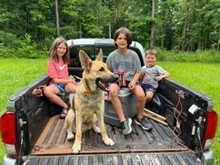 Enlarge Joshua, a Adoptable German Shepherd Dog in Roswell, GA image 5/5