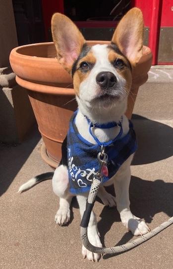 Tucker