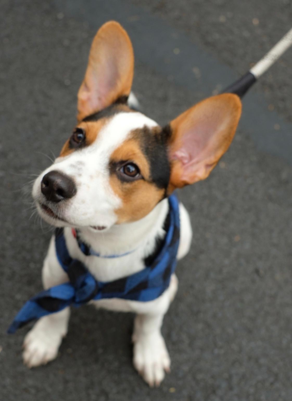 Tucker