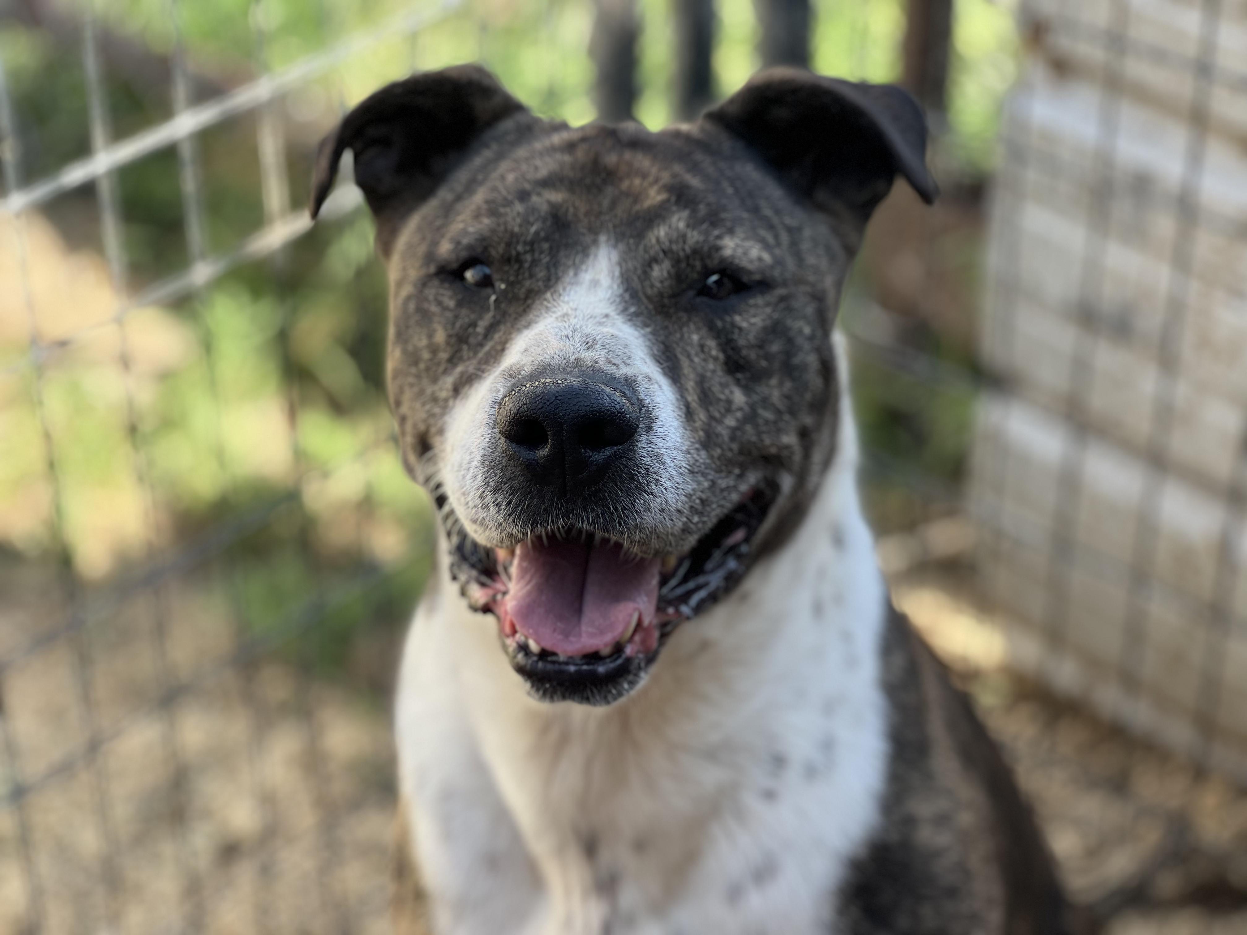 Southy — thumbnail 2