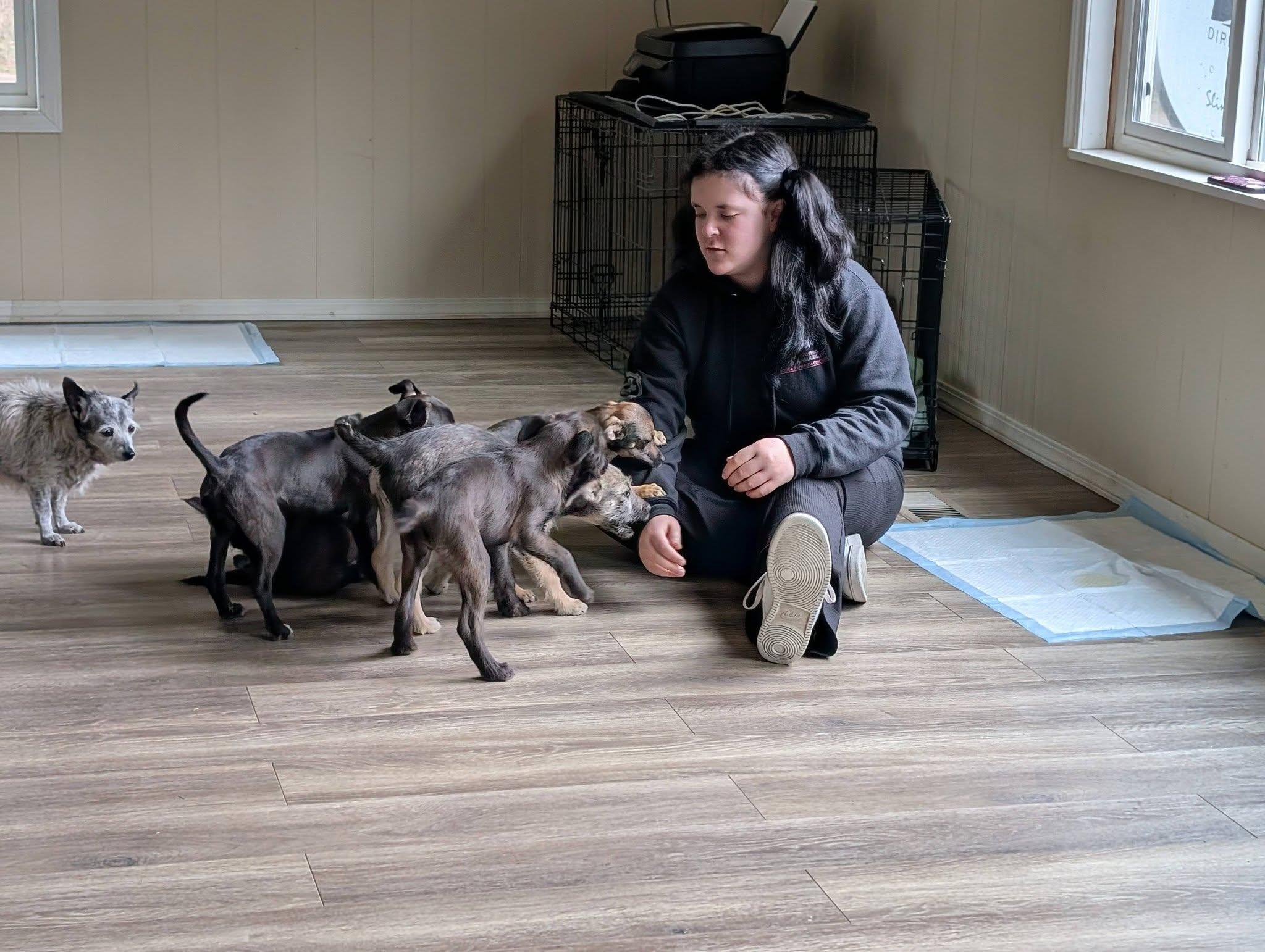 Enlarge Clover, a Adoptable mixed breed in Libby, MT image 2/5