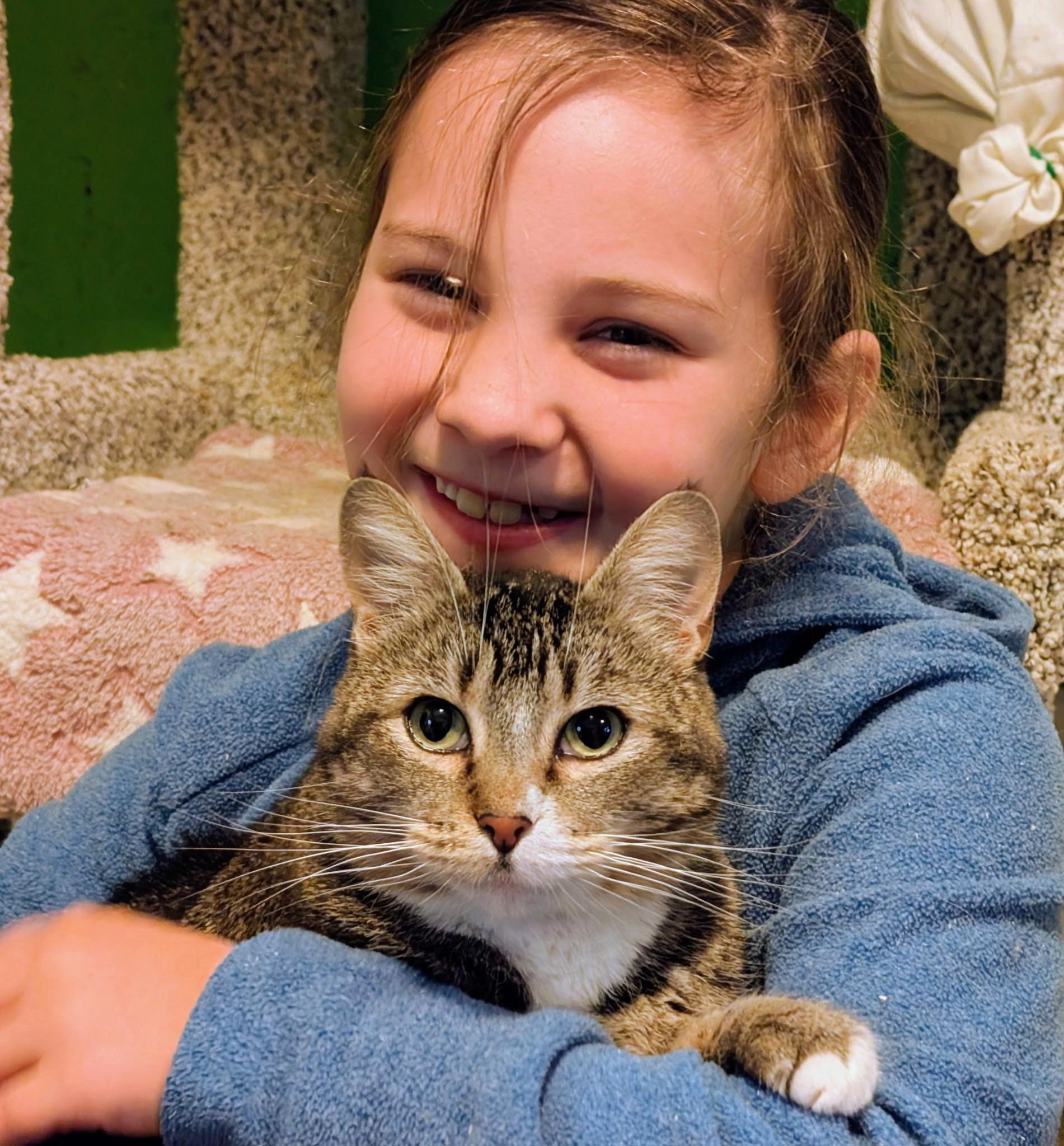Enlarge Gretchen Loves Everybody!, a ADOPTABLE Tabby in Newport, WA image 1/6