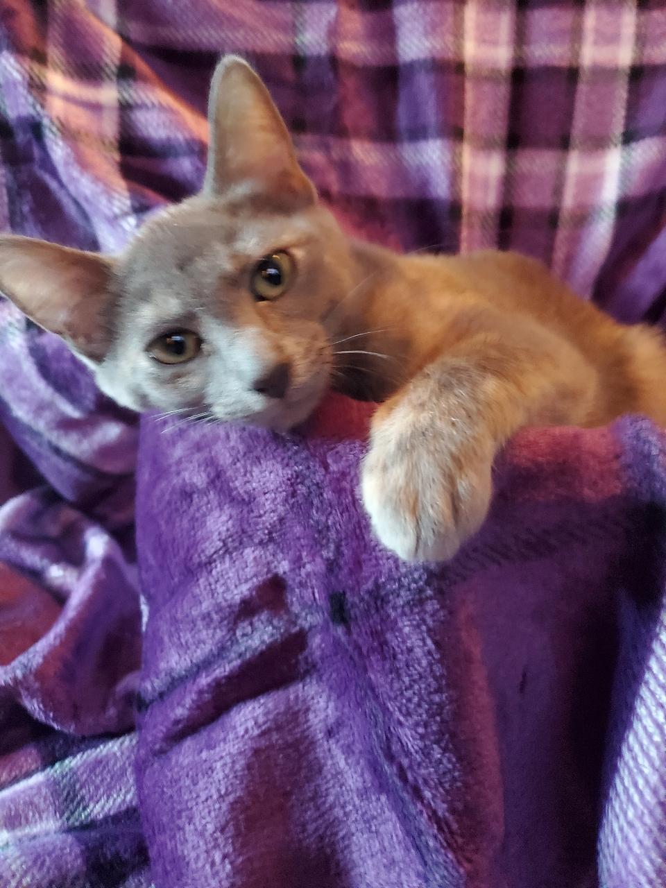 Moonie  Riley Fuzzel