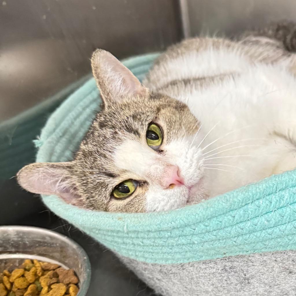 JENNY — thumbnail 2