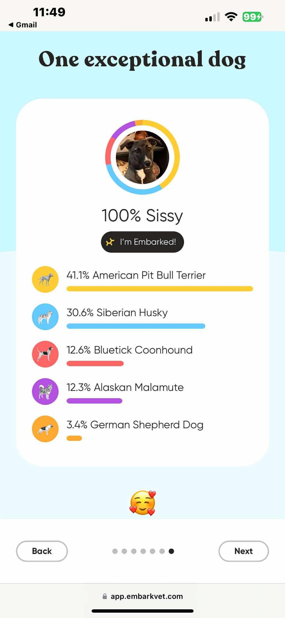Sissy CL, a Adoptable mixed breed in Olathe, KS image 5/5
