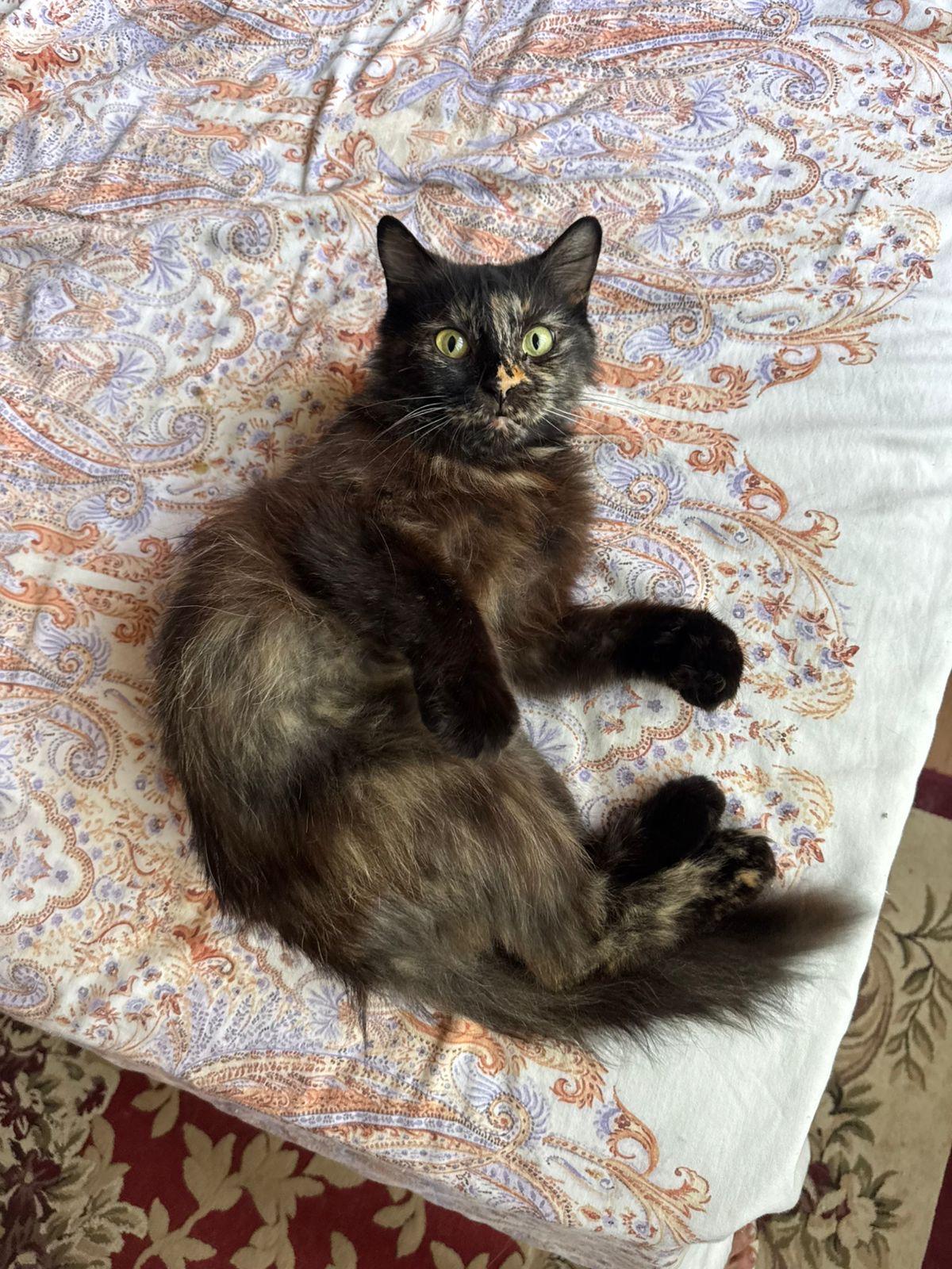 Matilda photo 3