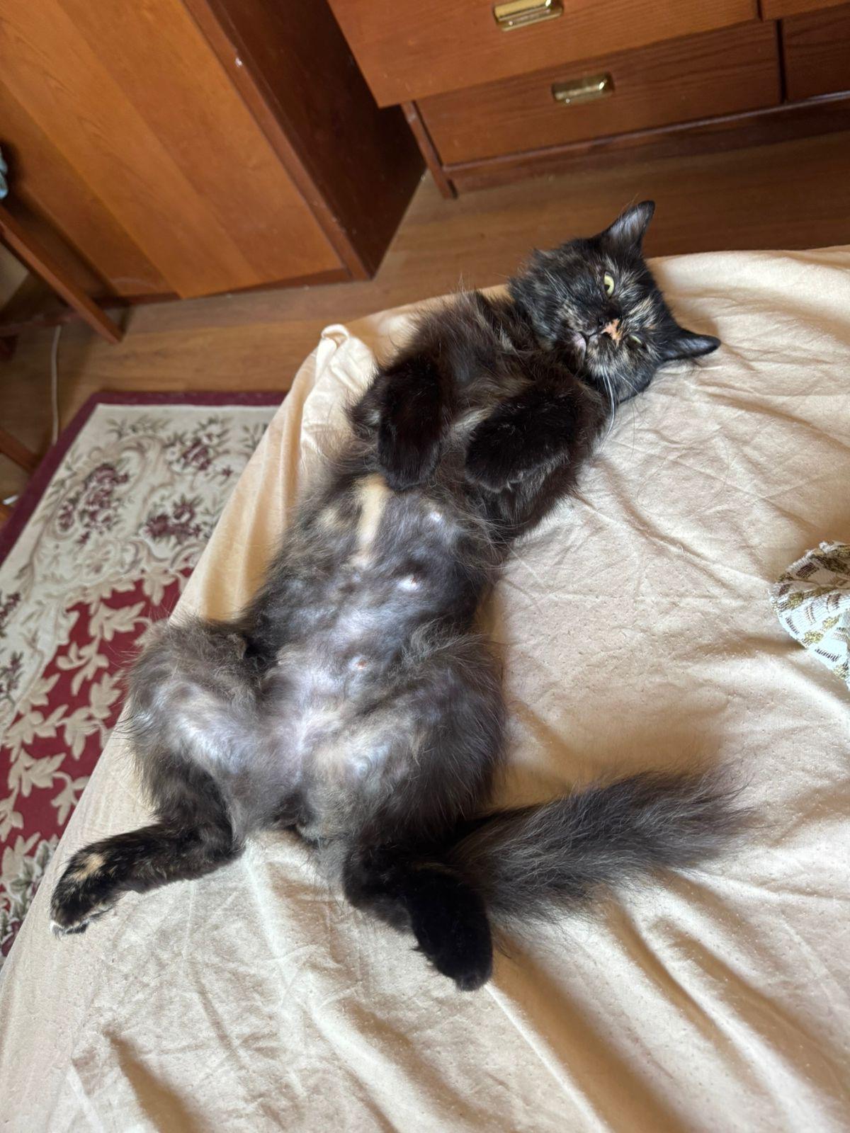 Matilda photo 2