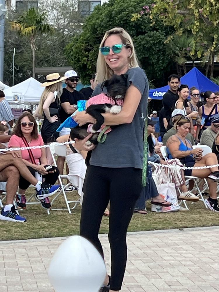 Miska, a Adoptable mixed breed in West Palm Beach, FL image 2/3