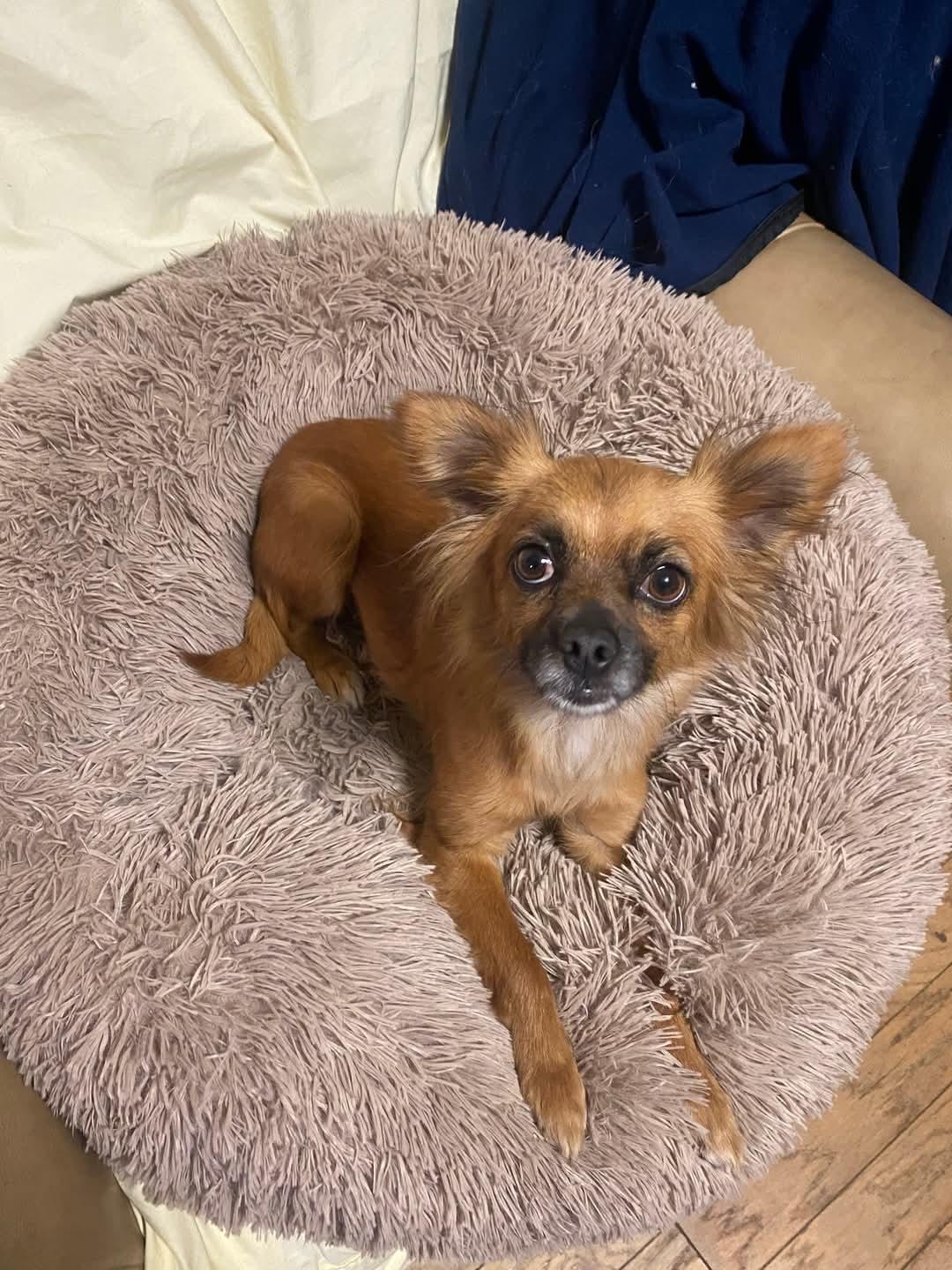 Precious