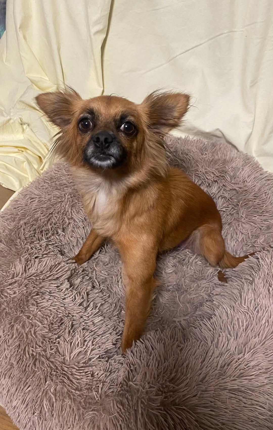 Precious thumbnail 2