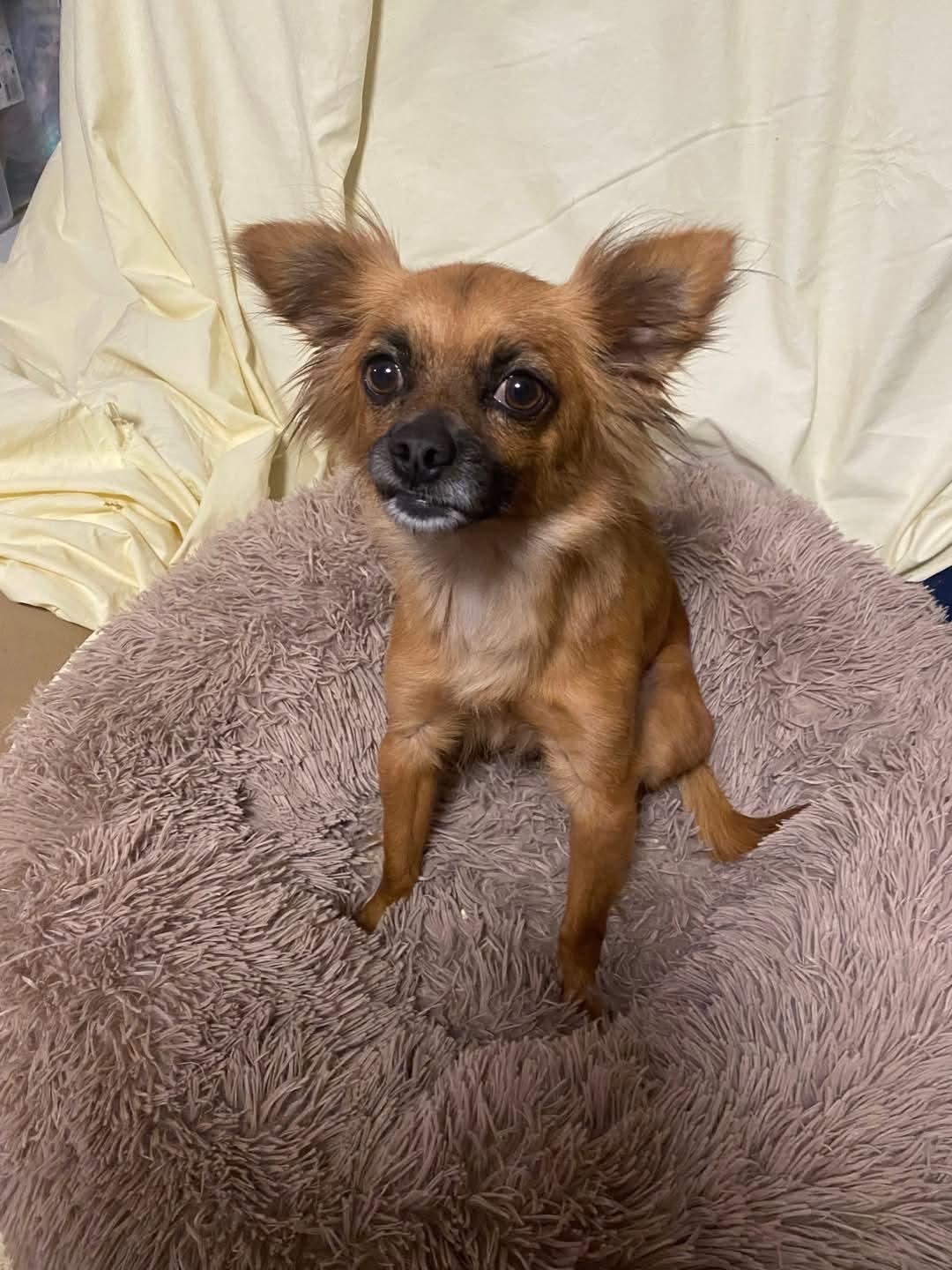 Precious thumbnail 3