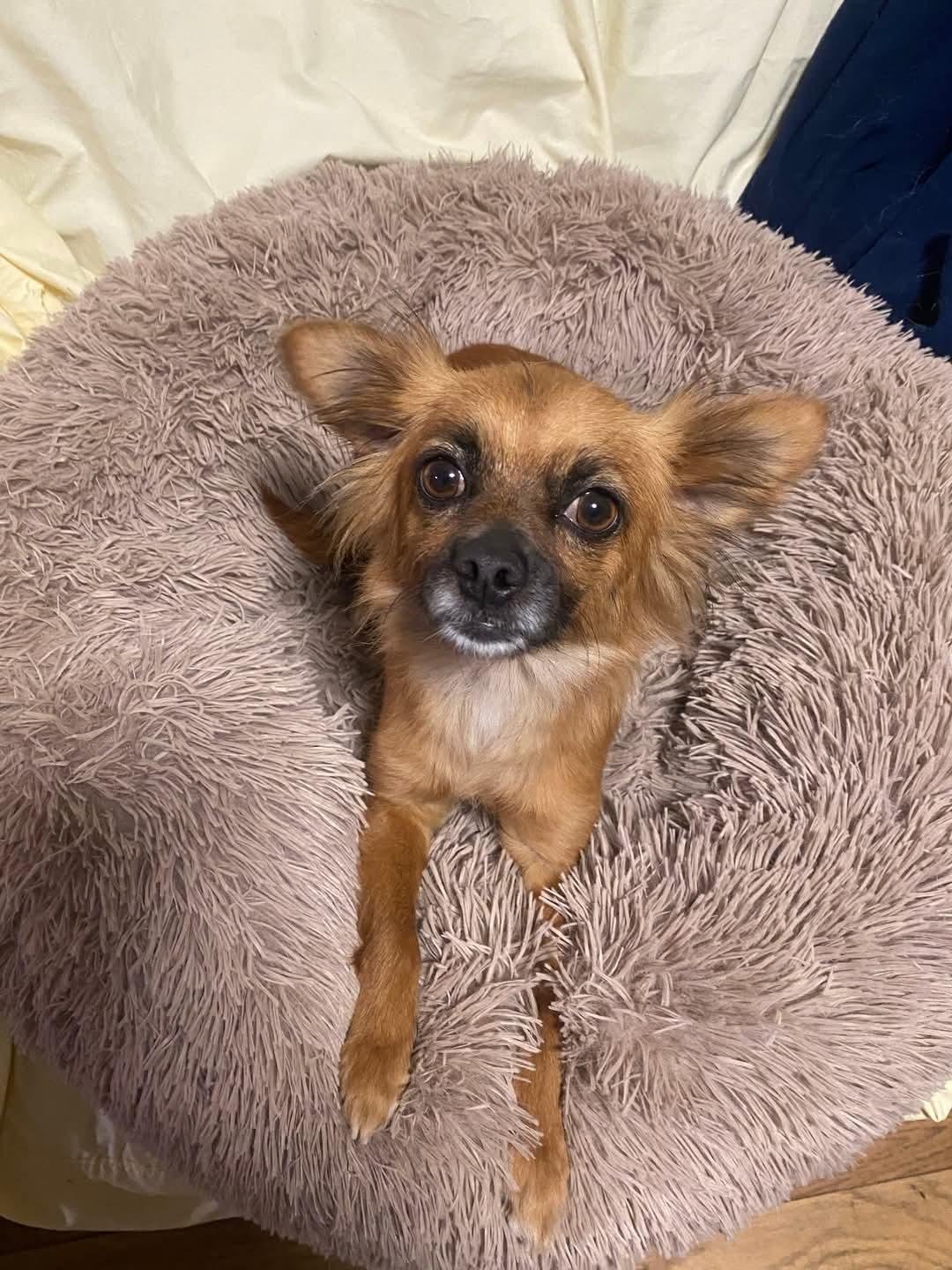 Precious thumbnail 6