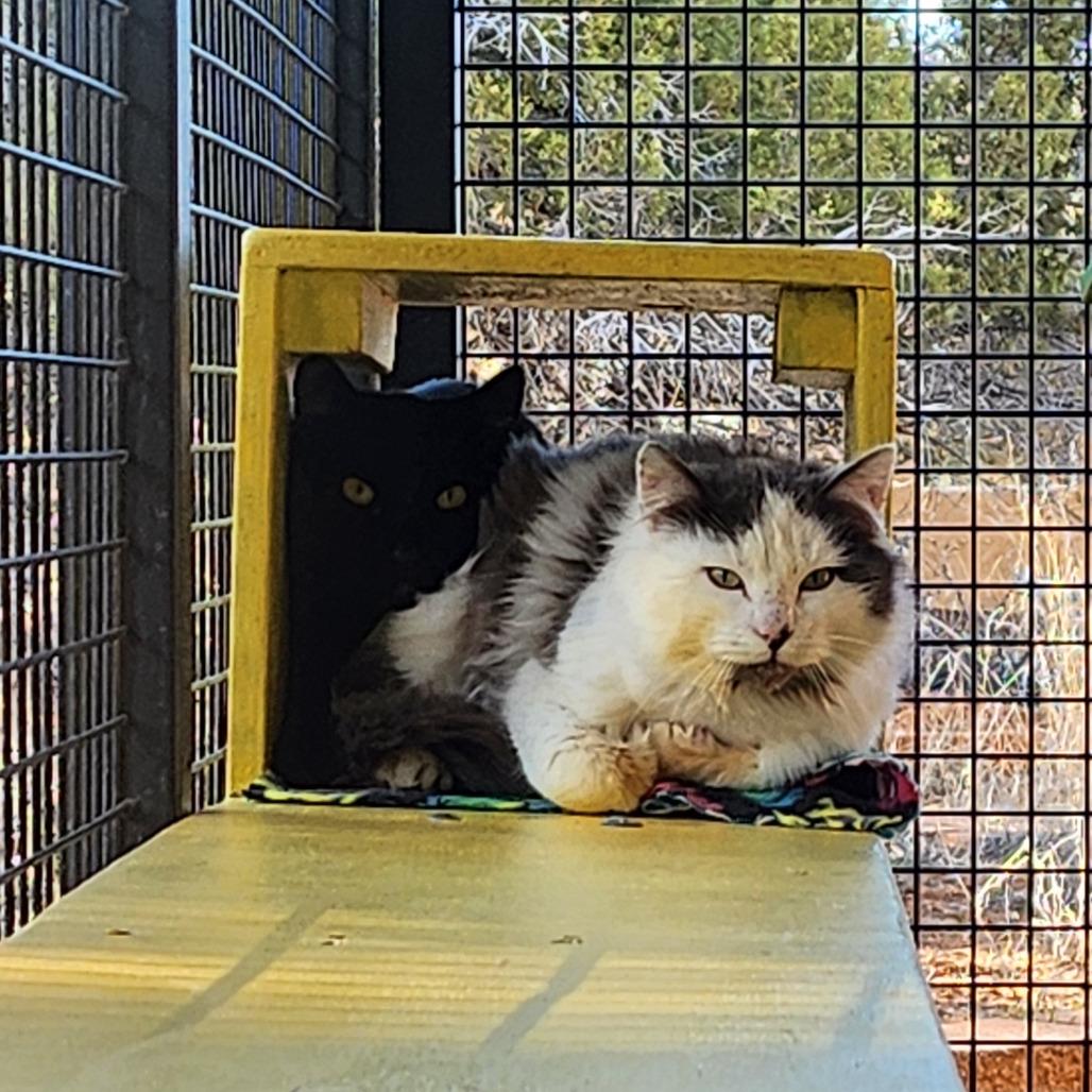 Raeburn — thumbnail 5