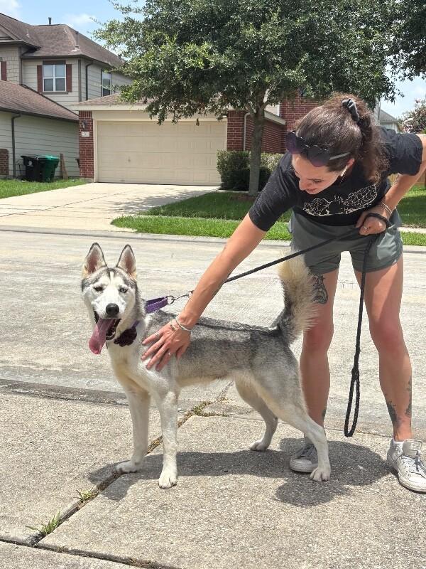 Madame Cleo is your future