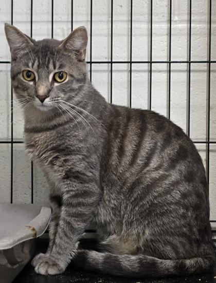 Billie James — thumbnail 2