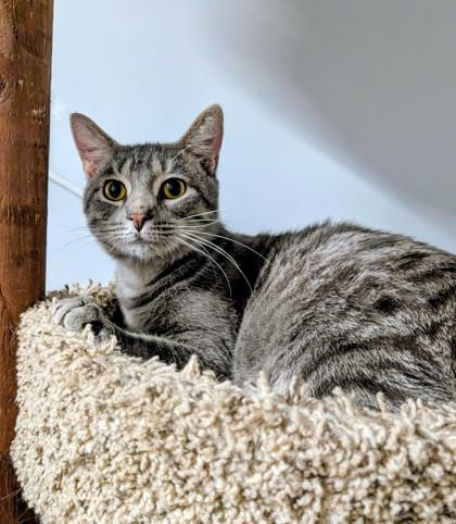 Billie James — thumbnail 3