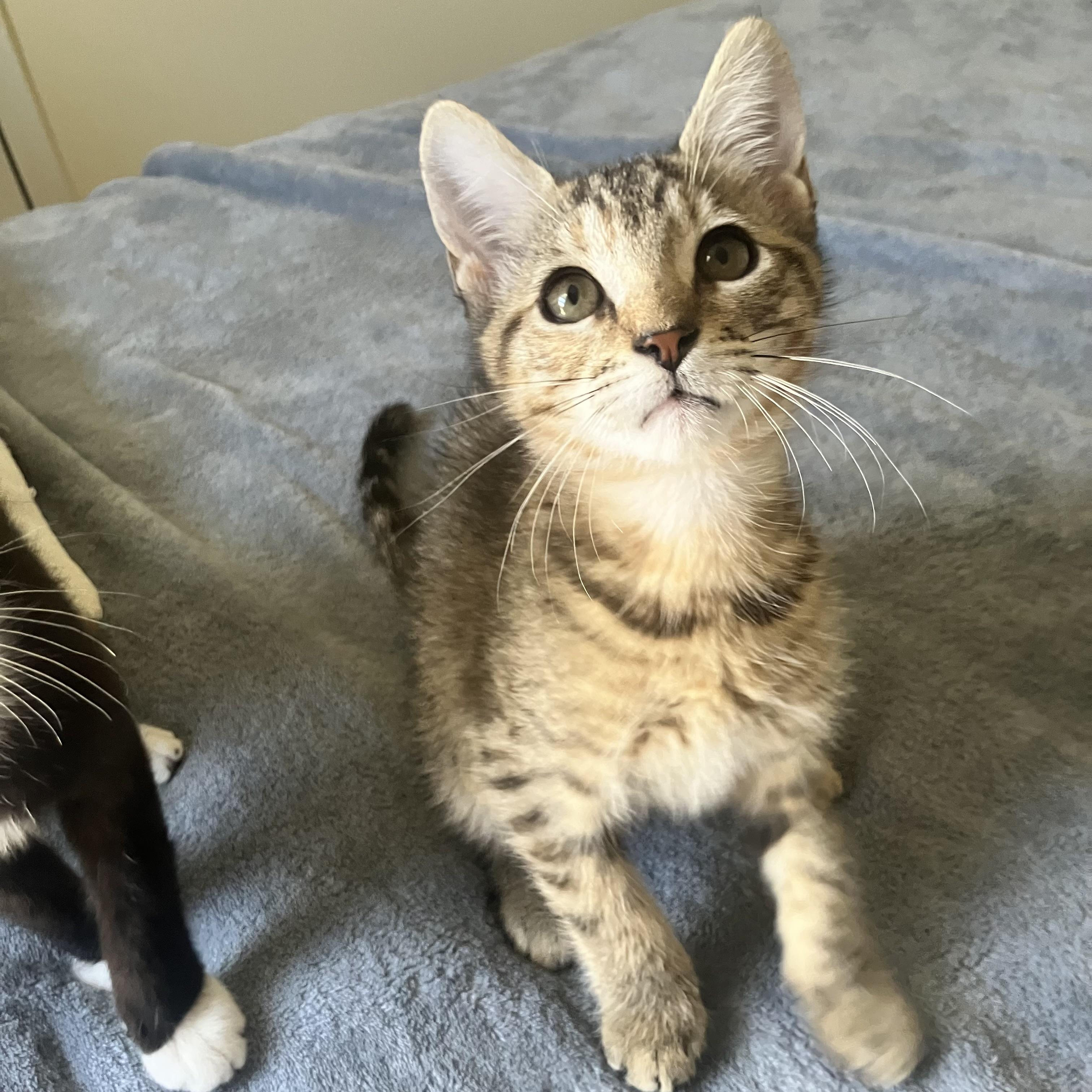 Chloe — thumbnail 3