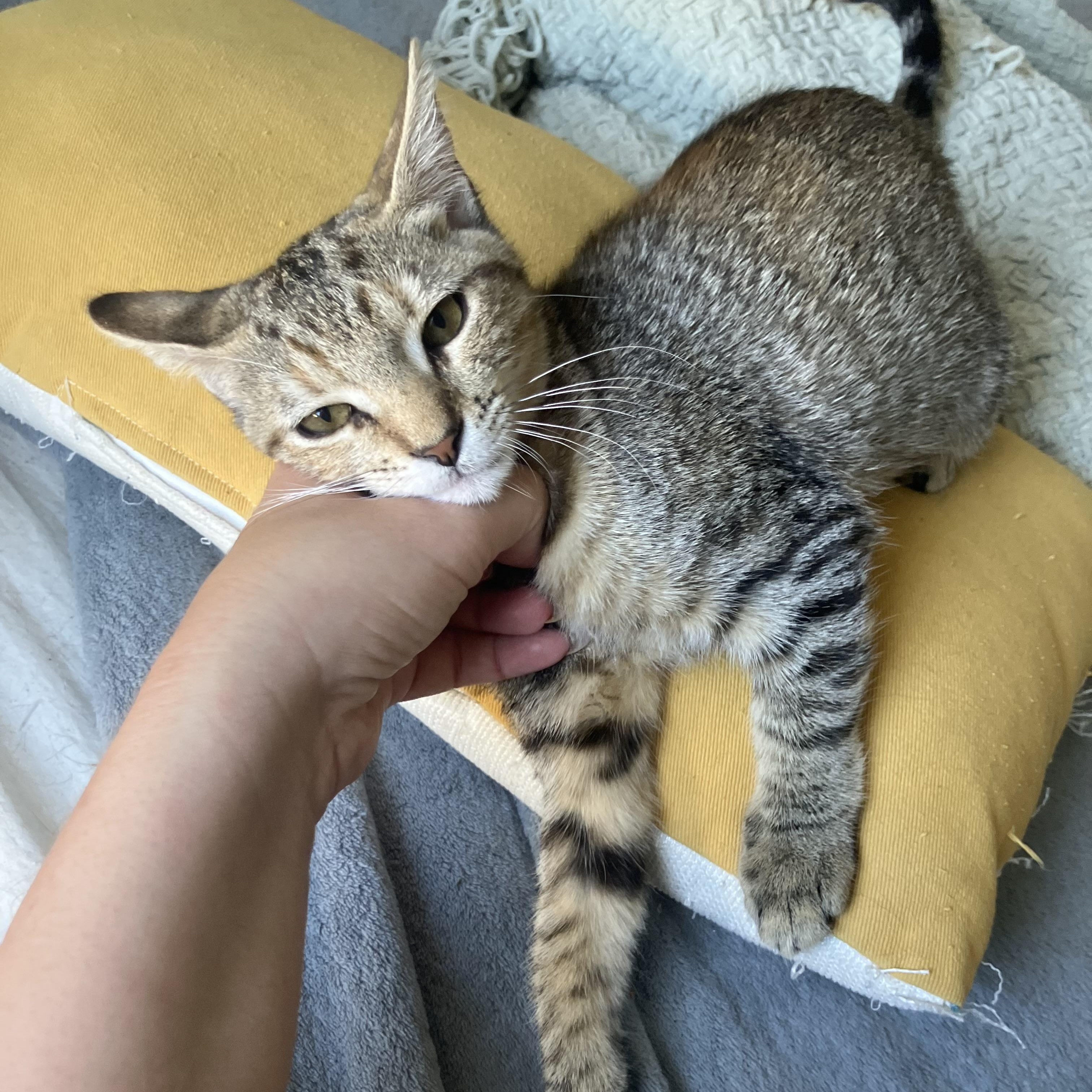 Chloe — thumbnail 5