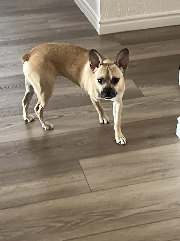 Lucy photo 4