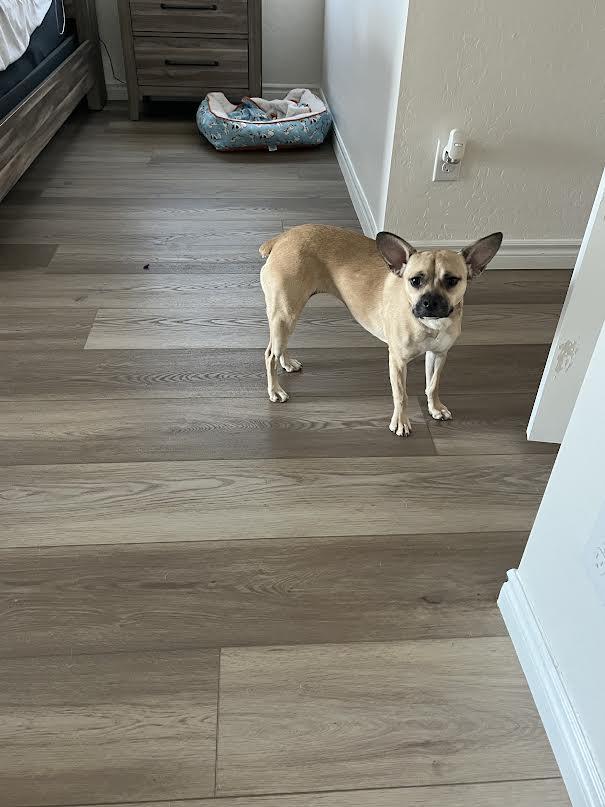 Lucy photo 2