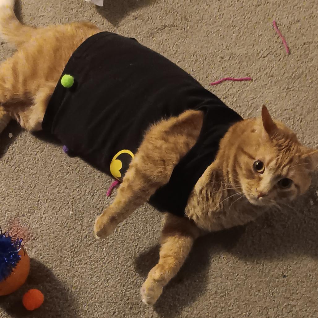 Westeros — thumbnail 3