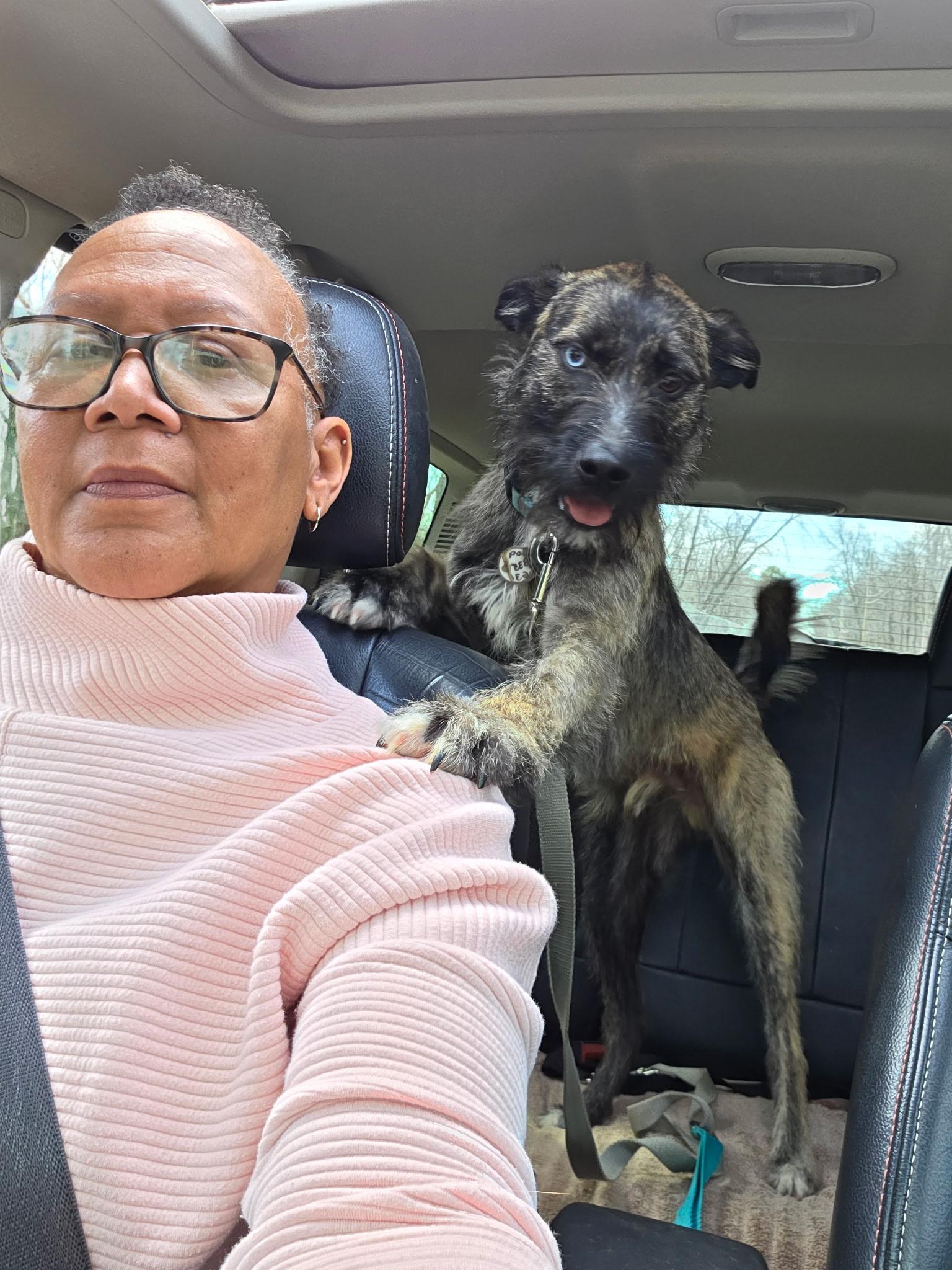 Blu, a Adoptable mixed breed in Egg Harbor City, NJ image 3/4